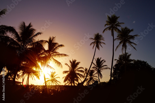 Palm trees at sunset in background.