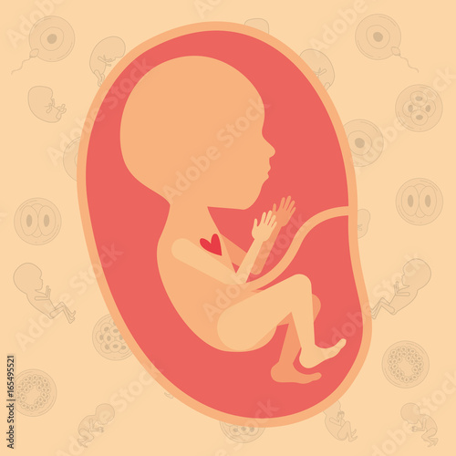 color background pattern pregnancy icons with fetus human growth in placenta semestrer vector illustration