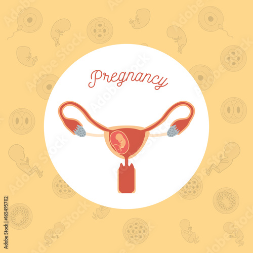 yellow color background pattern pregnancy icons with fetus human growth in placenta a few weeks in female reproductive organ vector illustration