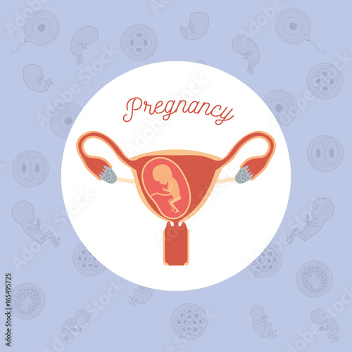 yellow color background pattern pregnancy icons with fetus human growth in placenta trimestrer in female reproductive organ vector illustration