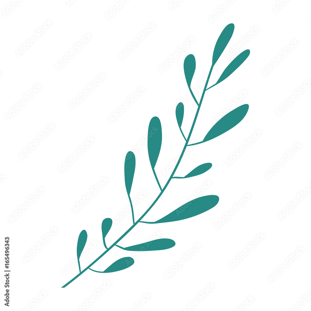 hand drawing green color leaf oval shape with several ramifications vector illustration hand drawing green color leaf oval shape with several ramifications vector illustration