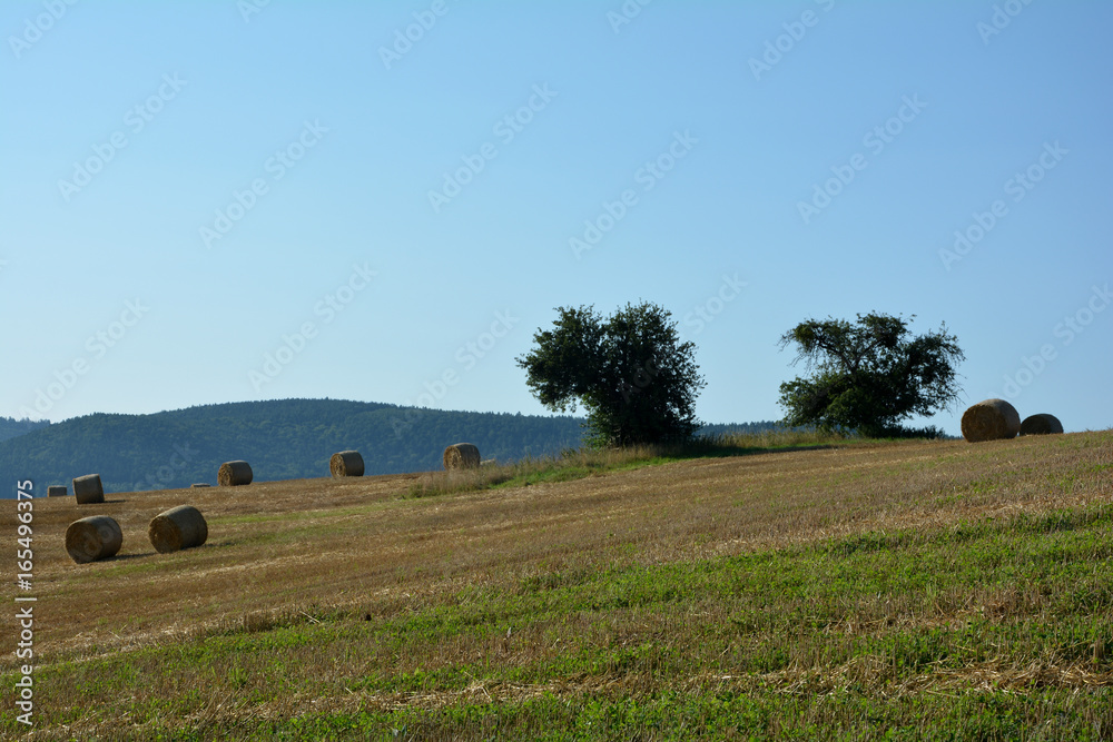 Heuballen in Landschaft mit viel blauem Himmel Heuballen in Landschaft mit viel blauem Himmel