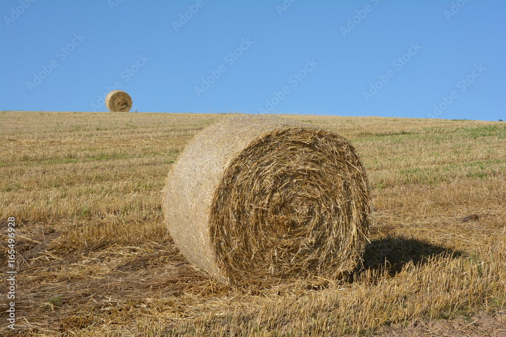 Ein Heuballen im Vordergrund und ein Strohballen im Horizont auf abgeerntetem Feld
Ein Heuballen im Vordergrund und ein Strohballen im Horizont auf abgeerntetem Feld