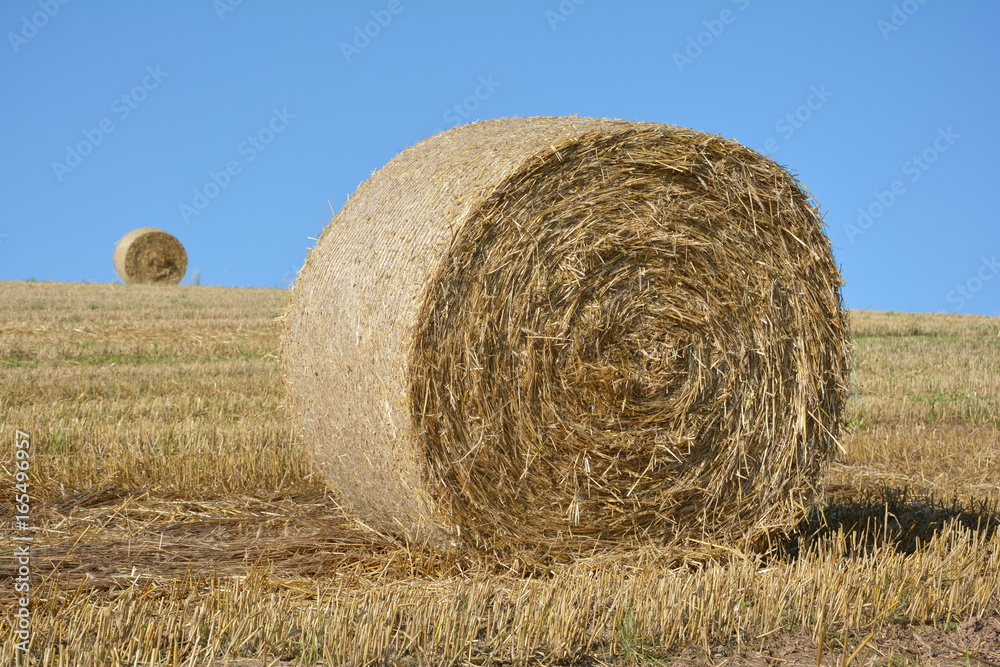 Heuballen liegt in einer Landschaft, ein Strohballen am Horizont mit blauem Himmel Heuballen liegt in einer Landschaft, ein Strohballen am Horizont mit blauem Himmel