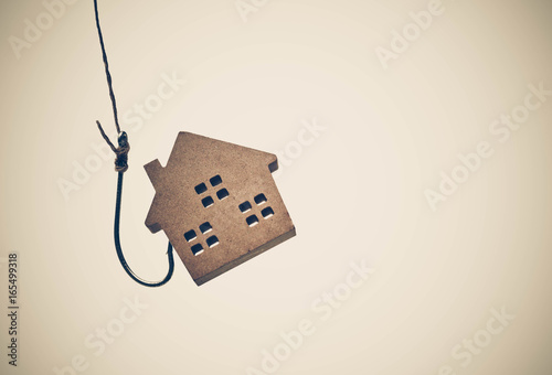 A house on a fish hook / Risks and negative sides of buying a house concept