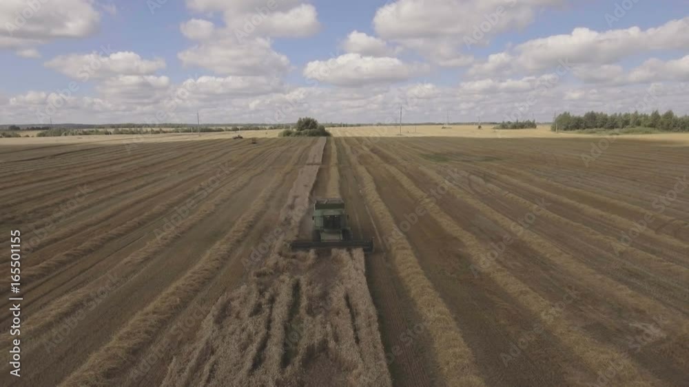 Combine harvester on a wheat field at harvest.Aerial view of agricultural land with harvester.Combine harvesting wheat.Aerial view of agricultural land with harvester. Working Harvesting Combine in Combine harvester on a wheat field at harvest.Aerial view of agricultural land with harvester.Combine harvesting wheat.Aerial view of agricultural land with harvester. Working Harvesting Combine in