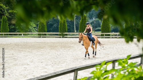woman horseback riding beautiful brown mare and training in sandy outdoors manege at horse ranch.