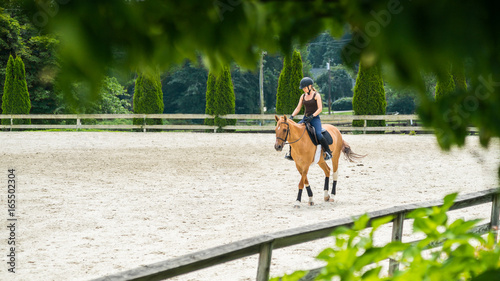 woman horseback riding beautiful brown mare and training in sandy outdoors manege at horse ranch. photo