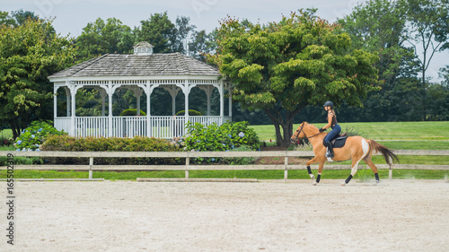 Konstfotografi woman horseback riding beautiful brown mare and training in sandy outdoors manege at horse ranch