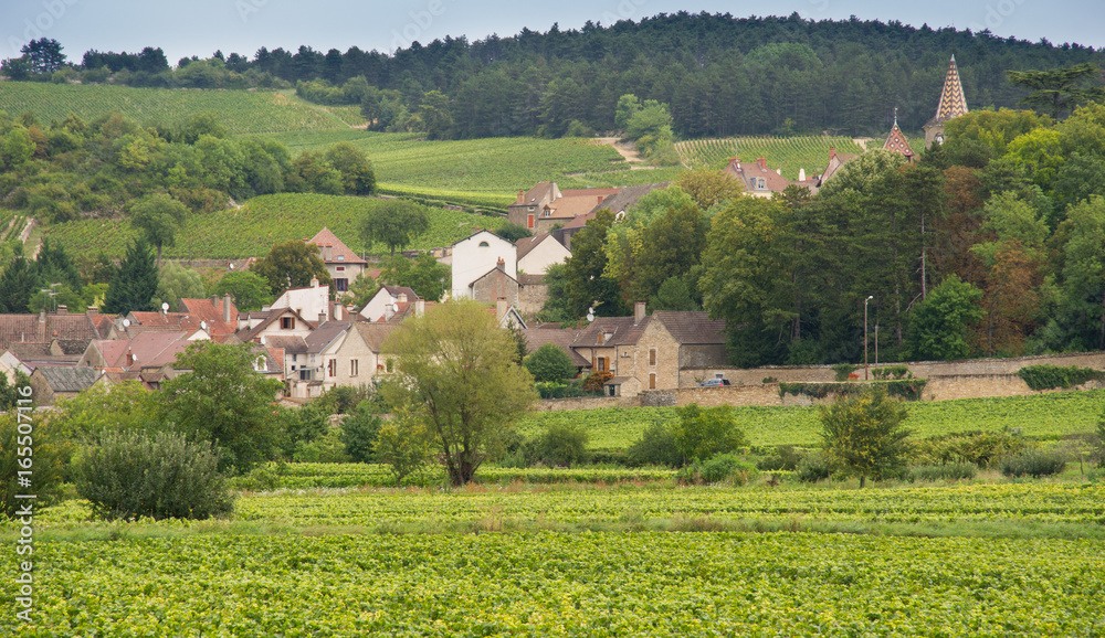 Meursault from the vineyards, Burgundy, France