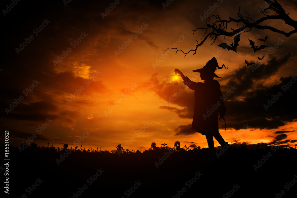 Witch in the halloween night, Concept halloween.