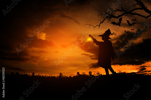 Witch in the halloween night  Concept halloween.