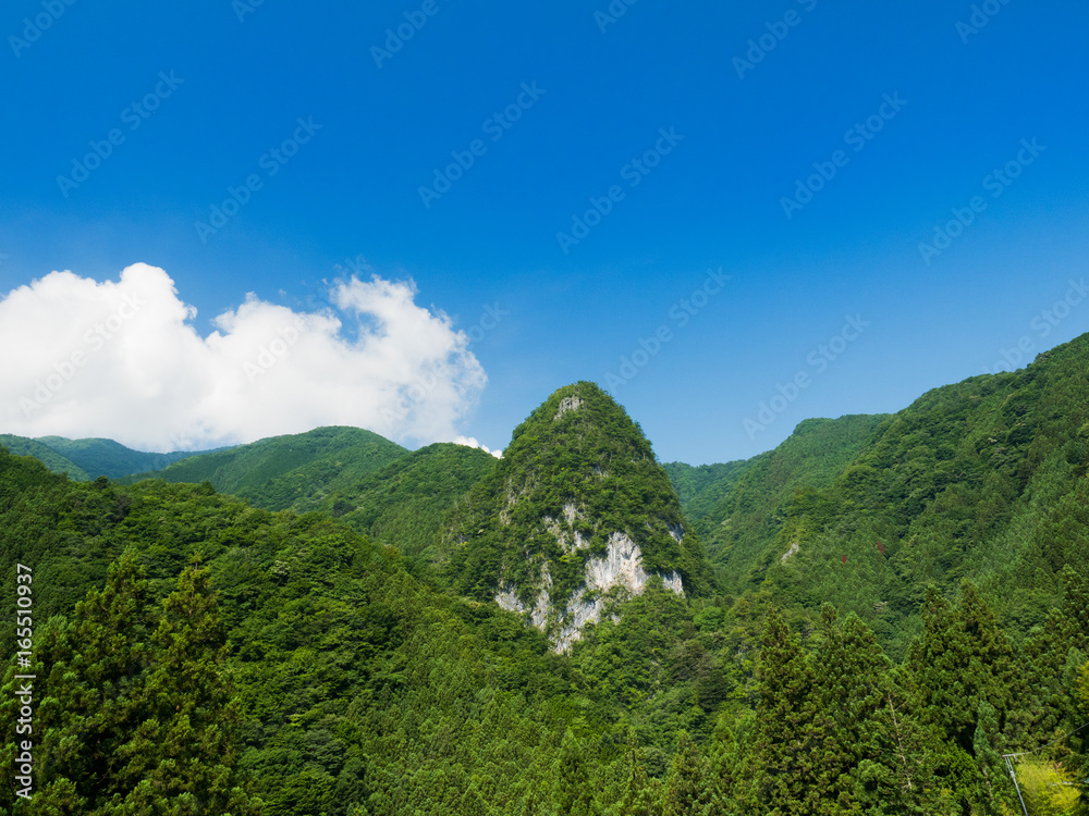 Naklejka premium 新緑の山と空 奥多摩町