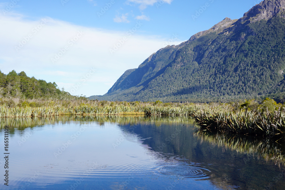 Beautiful reflection of the landscape of the meadow in mirror lake Queenstown in New Zealand