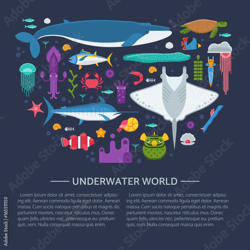 Sea animals and fishes concept banner stylized in circle. Ocean and marine creatures and other aquatic life background. Concept card or hero image with underwater inhabitants. Vector illustration.
