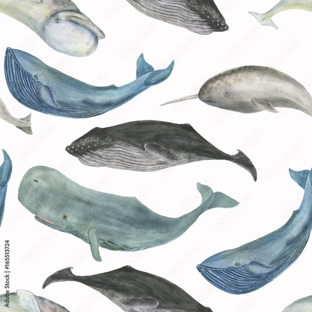 Fototapeta premium Akwarela malarstwo wzór z wielorybami