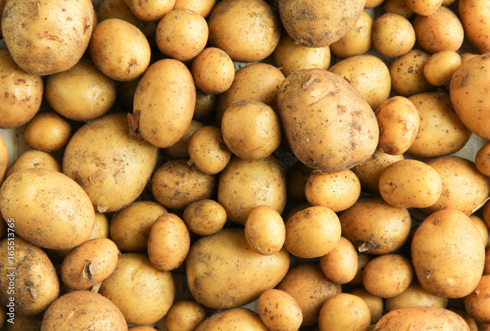 frische Kartoffeln Hintergrund Tisch overhead neue Ernte frische Kartoffeln Hintergrund Tisch overhead neue Ernte