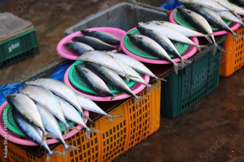 Fish on sale