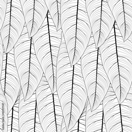 Long tropical leaves overlap side by side repeat seamless pattern texture. Sharp tip, detailed streak fibril line drawing. Vertical top down layout. Vector design illustration.
