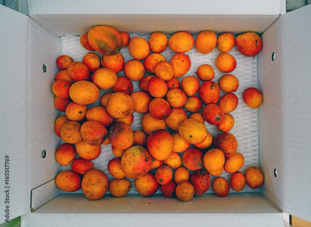 Box of small mini mango fruit at a market in Okinawa