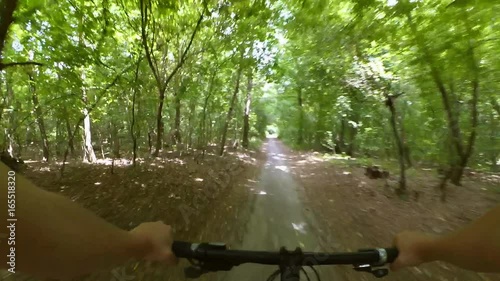 A man on a bicycle rides fast on a dirt road in the forest. Action camera go pro.