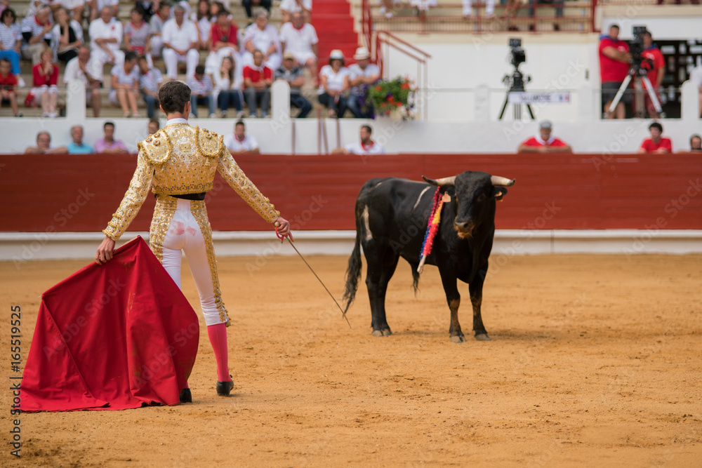 corrida novillada
