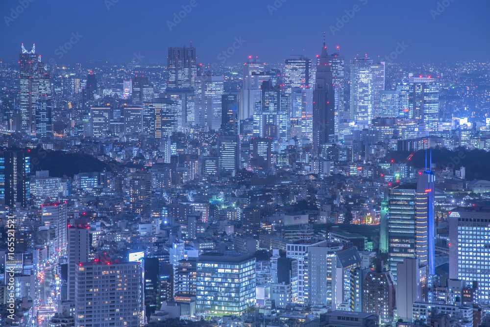 Tokyo at night with illuminated skyscrapers