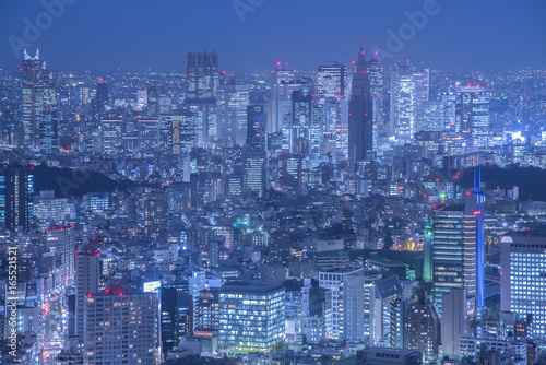 Tokyo at night with illuminated skyscrapers