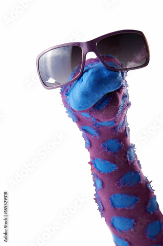 Dappled sock puppet with sunglasses photo