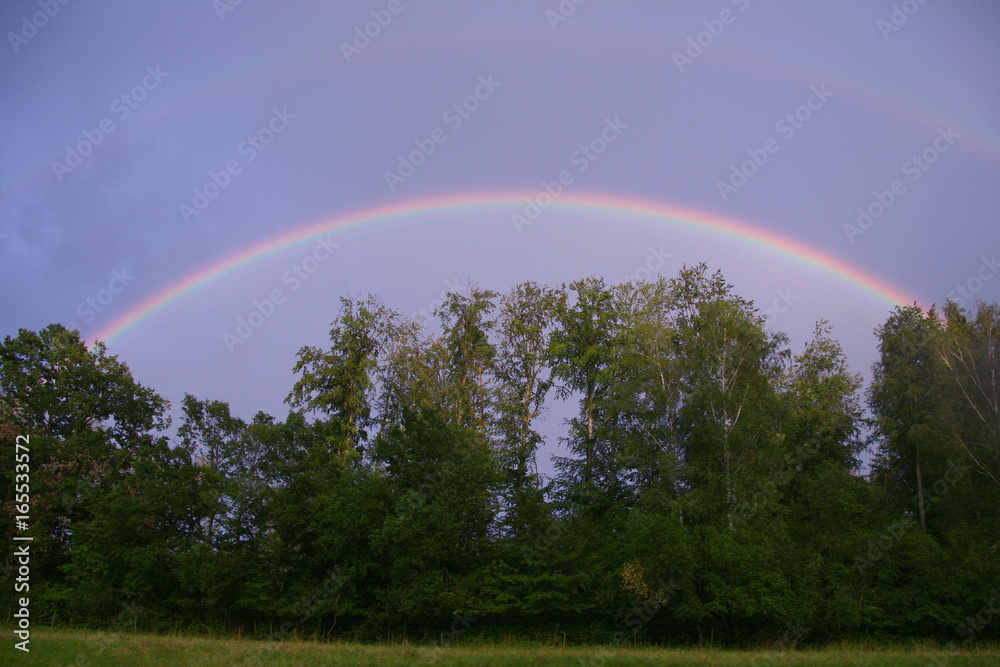 Naklejka premium Regenbogen in der Landschaft