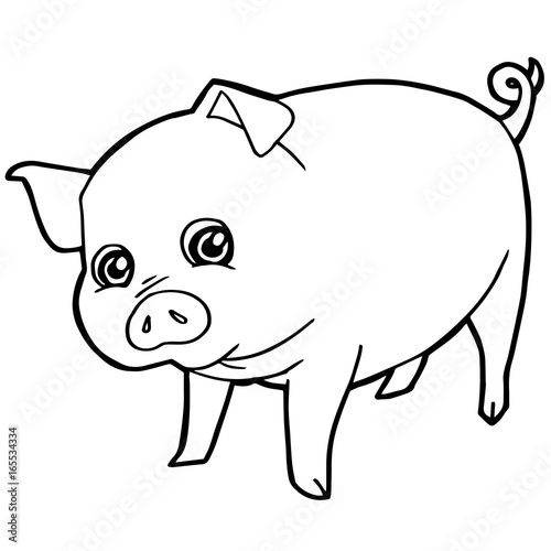 cartoon cute pig coloring page vector illustration
