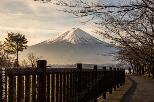 Mt.Fuji at Lake Kawaguchiko japan. autumn season in japan. Maple japan and mount fuji on blue sky.