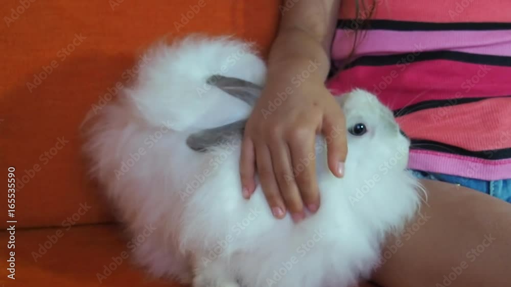 Home rabbit on the couch. Child's hands are stroking a rabbit. Home rabbit on the couch. Child's hands are stroking a rabbit.