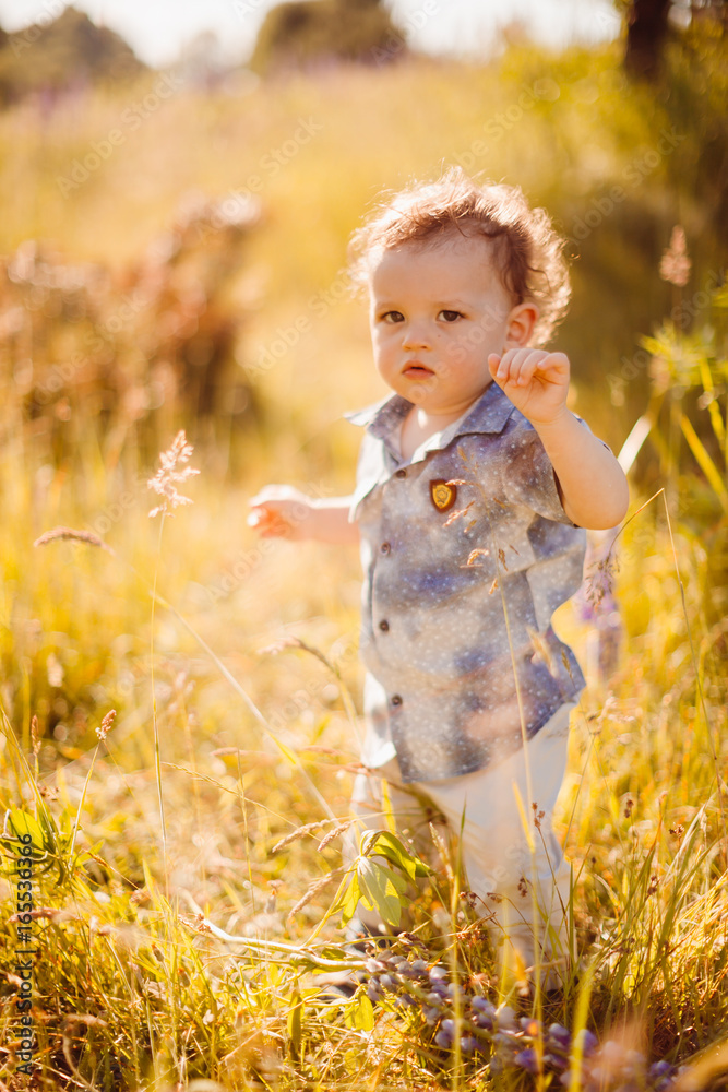 Little boy walks on the field of lavander covered with sunshine Little boy walks on the field of lavander covered with sunshine