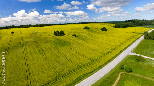 Aerial view of beautiful yellow meadows in open countryside © jovannig