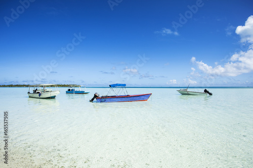 Fototapeta Naklejka Na Ścianę i Meble -  bateaux de pêche sur un lagon, tahiti polynésie