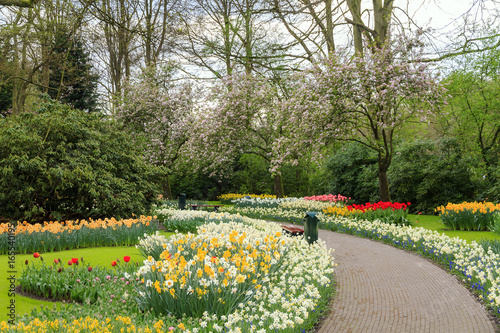 Beautiful flowers and blossom trees in a park in the Netherlands in spring