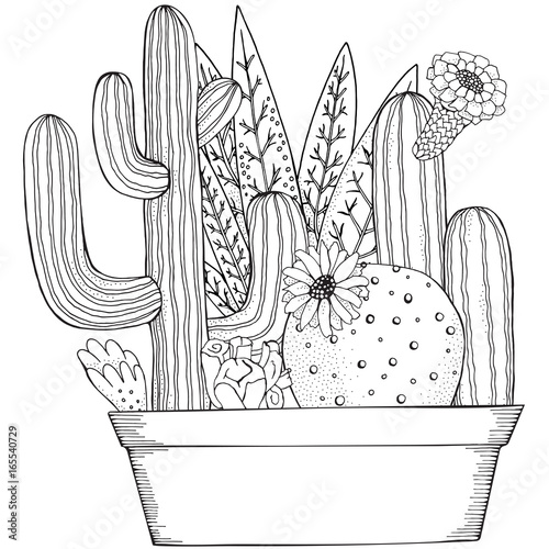 Hand drawn set of succulents and cactus in pots. Doodles elements. Black and white. Coloring book page for adult. Linear botanical vector.