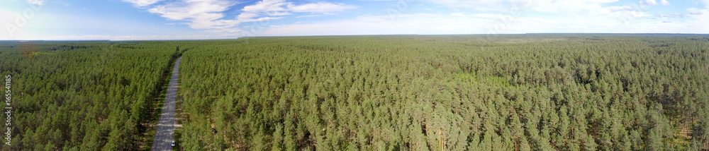 Panoramic aerial view of Road across the Forest Panoramic aerial view of Road across the Forest