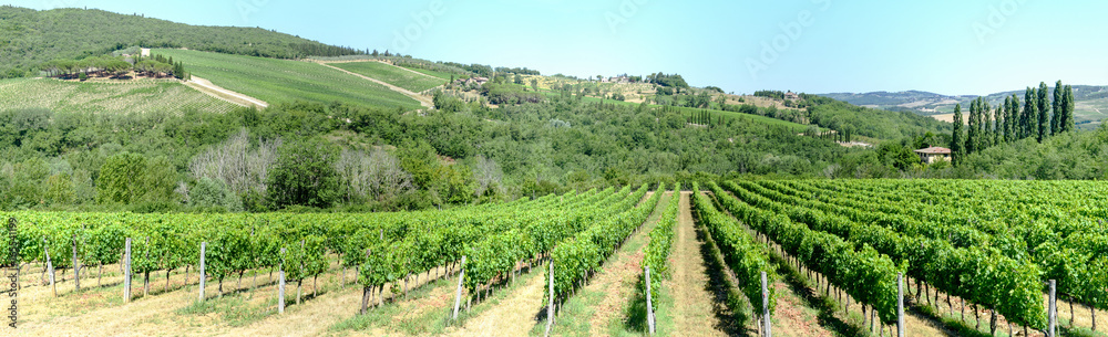 Rural landscape of Chianti vineyards on Tuscany