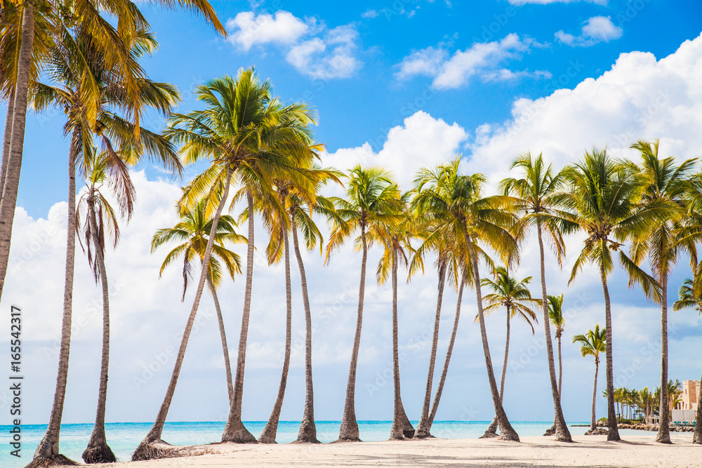 Fototapeta premium Paradise - Beautiful tropical island