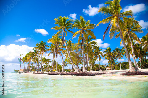 Fototapeta Naklejka Na Ścianę i Meble -  Paradise - Beautiful tropical island