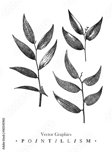 Vector illustration with set of branches and leaves drawn by hand. Graphic drawing, pointillism technique. Botanical natural collection. Black and white floral element isolated on white