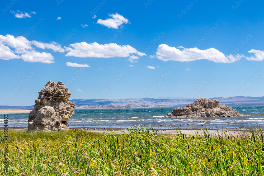 Fototapeta premium Mono Lake Tufa