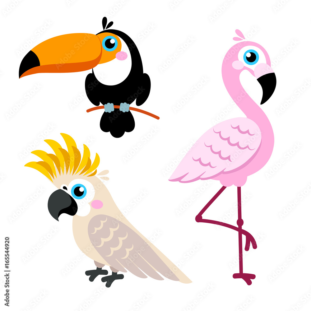 Naklejka premium Cartoon parrots set and parrots wild animal birds isolated on white background. Vector illustration