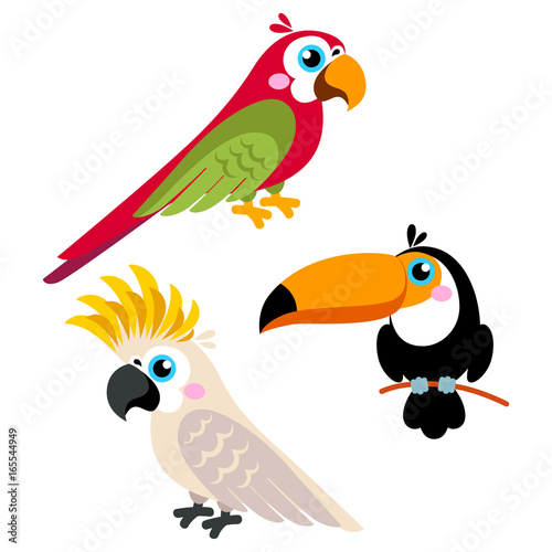 Cartoon parrots set and parrots wild animal birds isolated on white background. Vector illustration