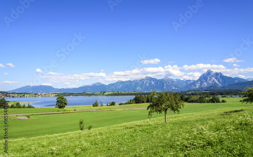 weiß-blaue Idylle am Hopfensee im Ostallgäu