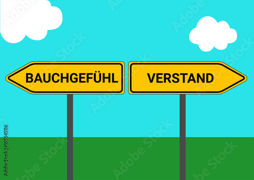 Wegweiser Bauchgefühl Verstand