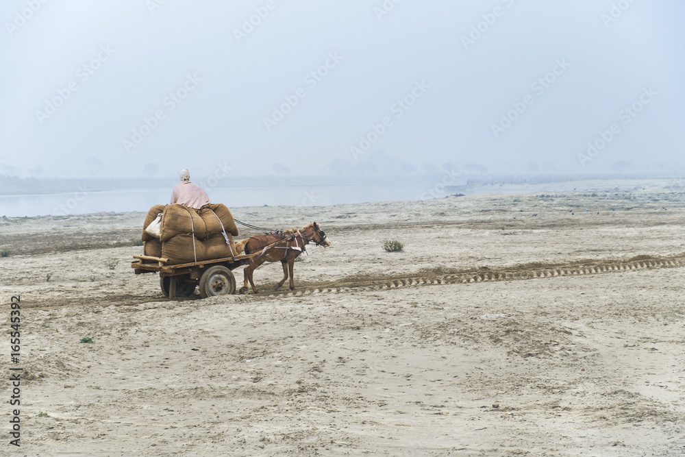 Obraz premium Horse cart at Yamuna bank.