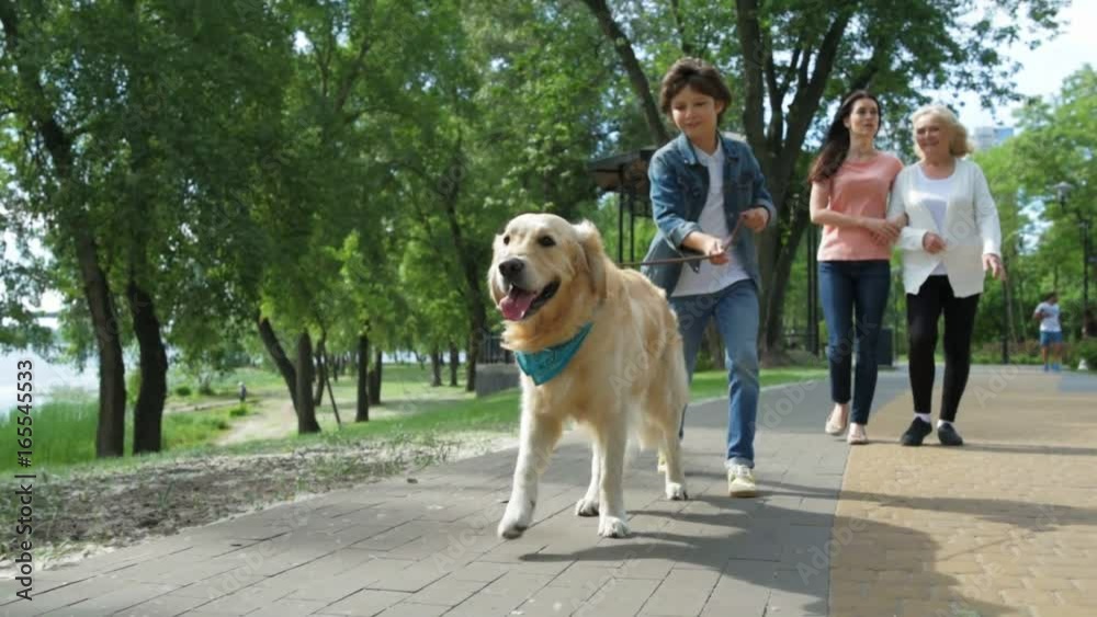 Little bot walking with his dog in the park